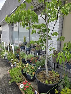 【当たり前のことを、当たり前に】のアイキャッチ画像